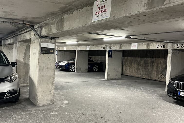Fotografia 6 de Zenpark
