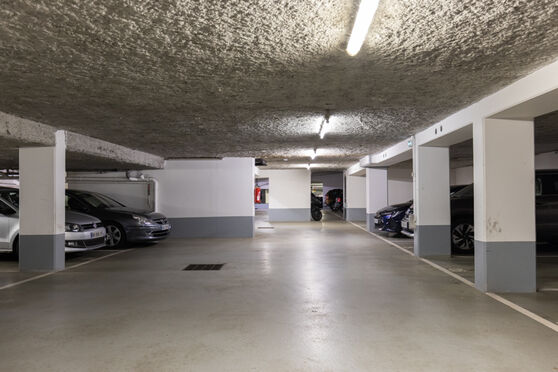 Vignette parking 3 place Charles Pasqua - Le Plessis Robinson